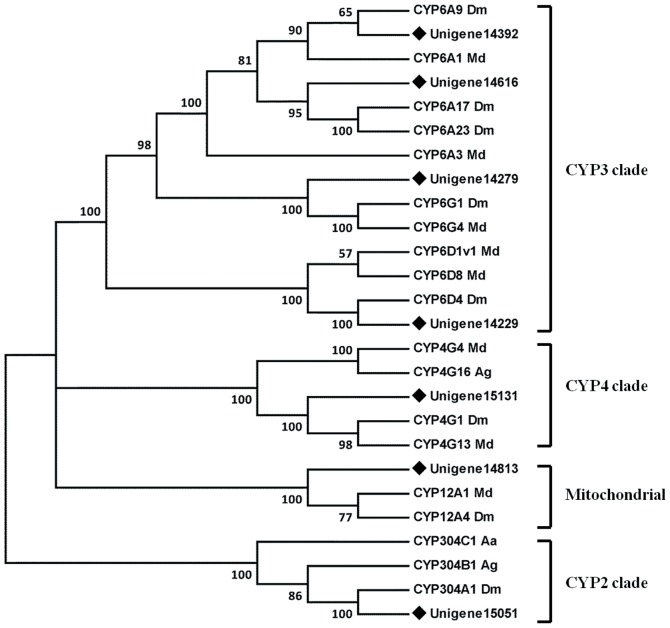 Figure 7