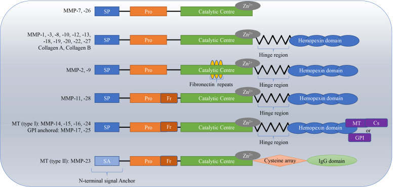 Figure 1