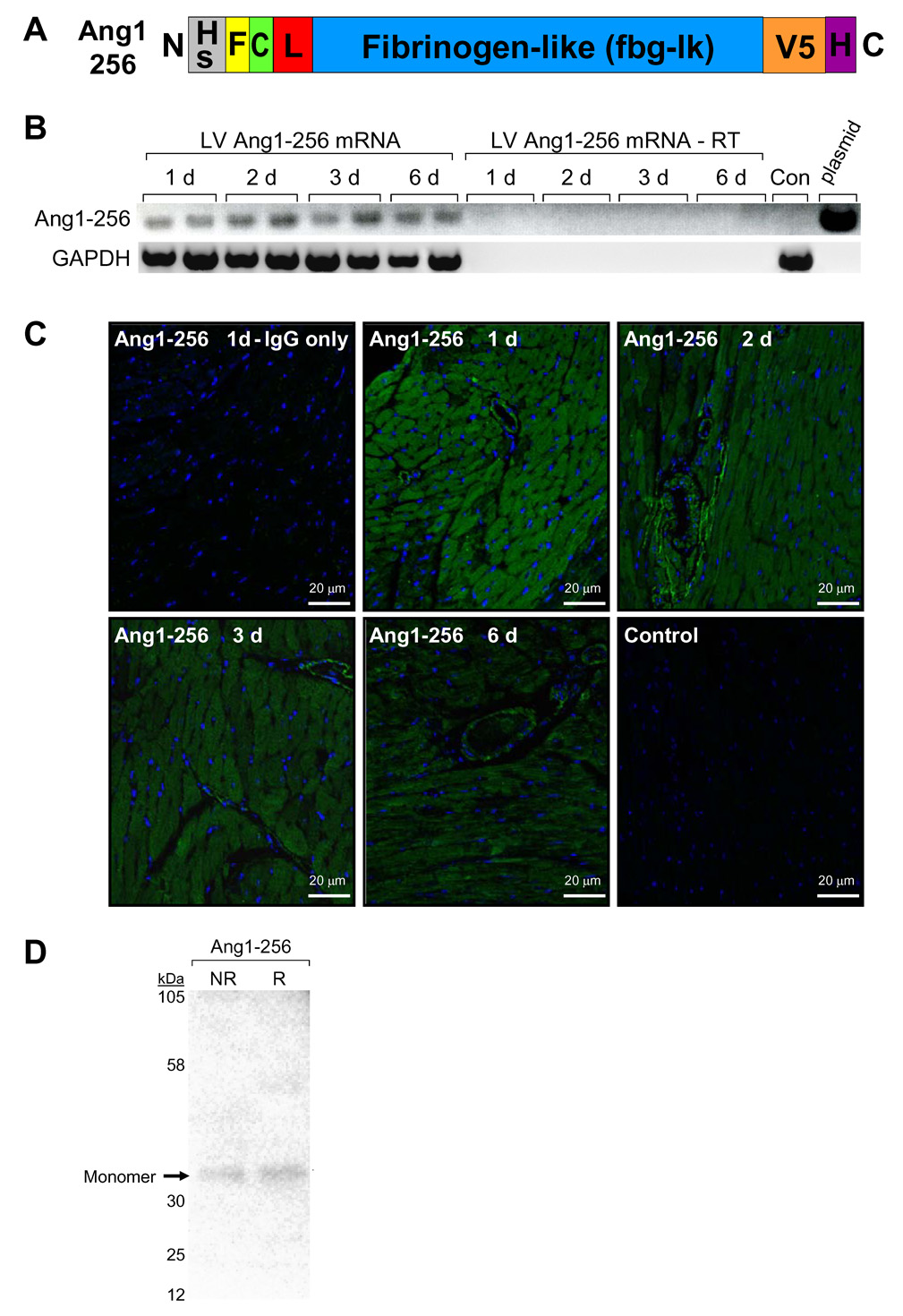 Fig. 4