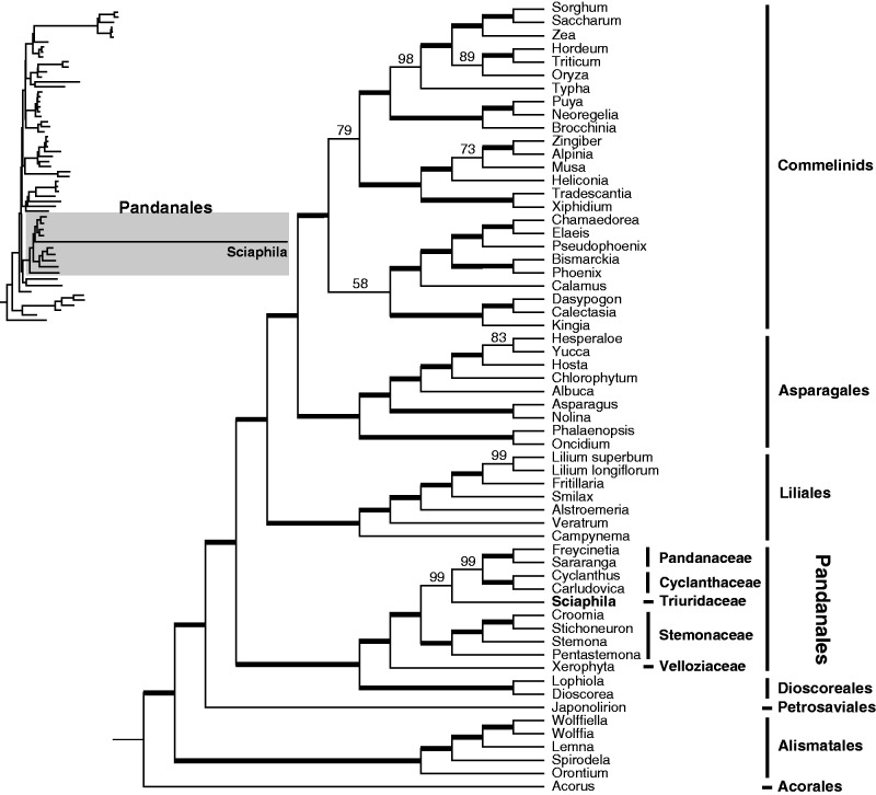 Fig. 4.—