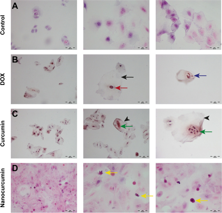 Fig. 4 