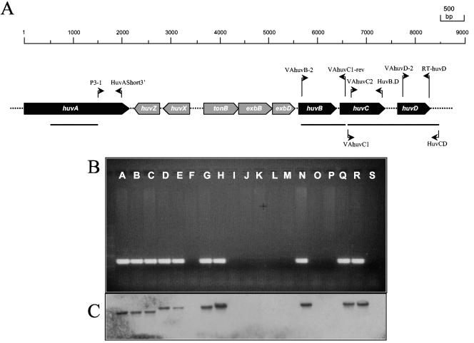 FIG. 2.