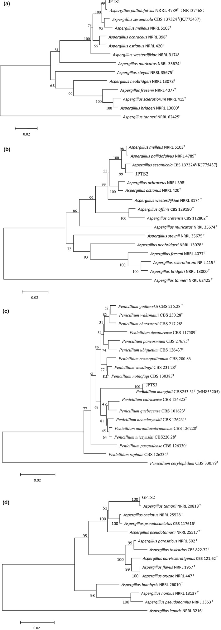 FIGURE 2