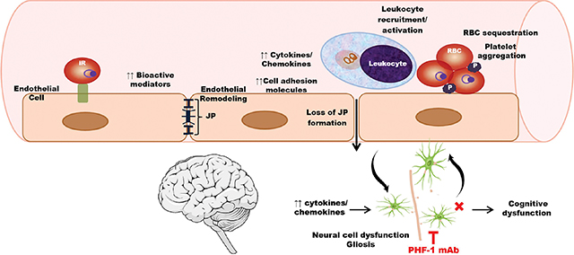 graphic file with name nihms-1932926-f0010.jpg