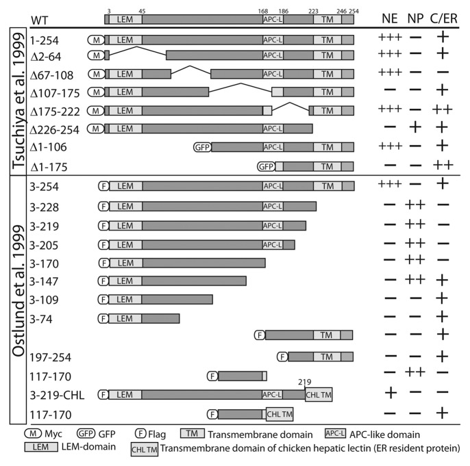 graphic file with name nucl-4-298-g3.jpg