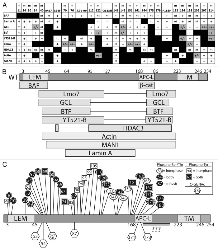 graphic file with name nucl-4-298-g5.jpg