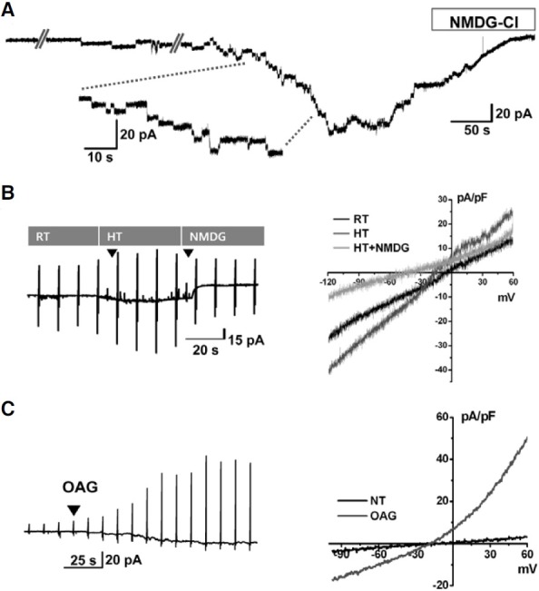 Fig. 5.