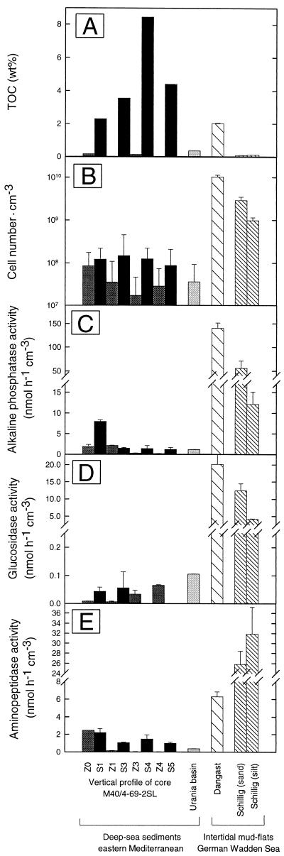 FIG. 6