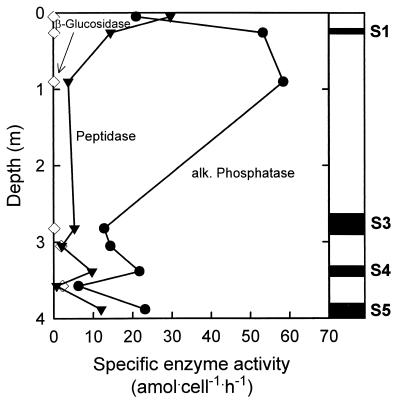 FIG. 7