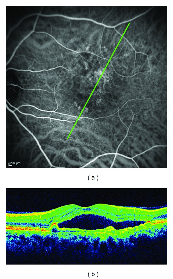 Figure 6