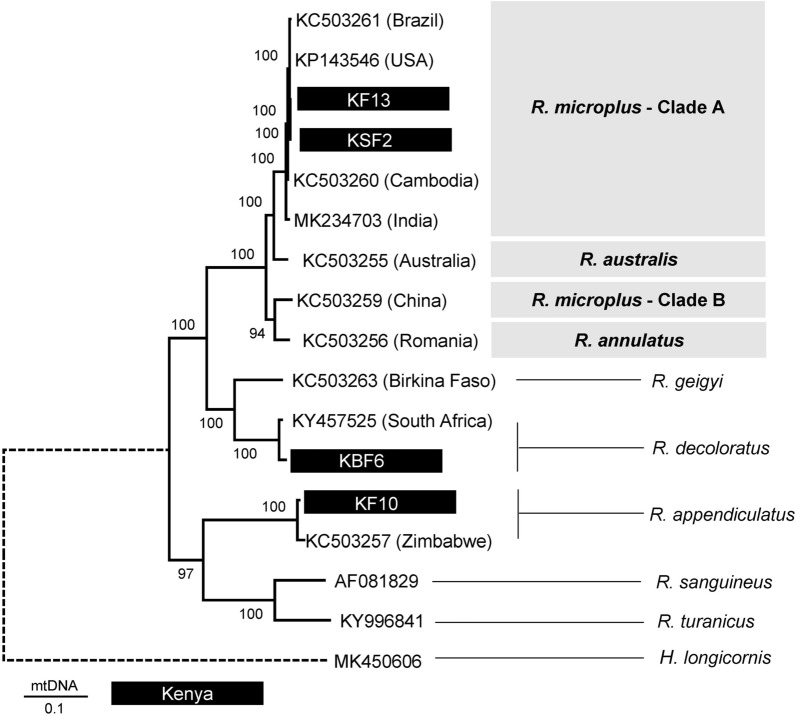 Fig. 8