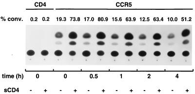 FIG. 5