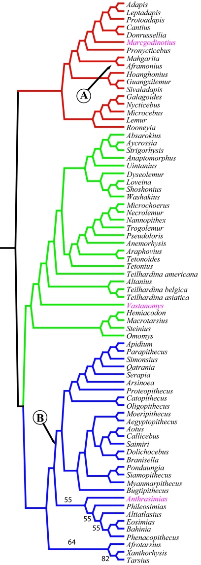 Fig. 3.