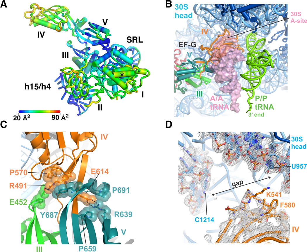 Figure 5