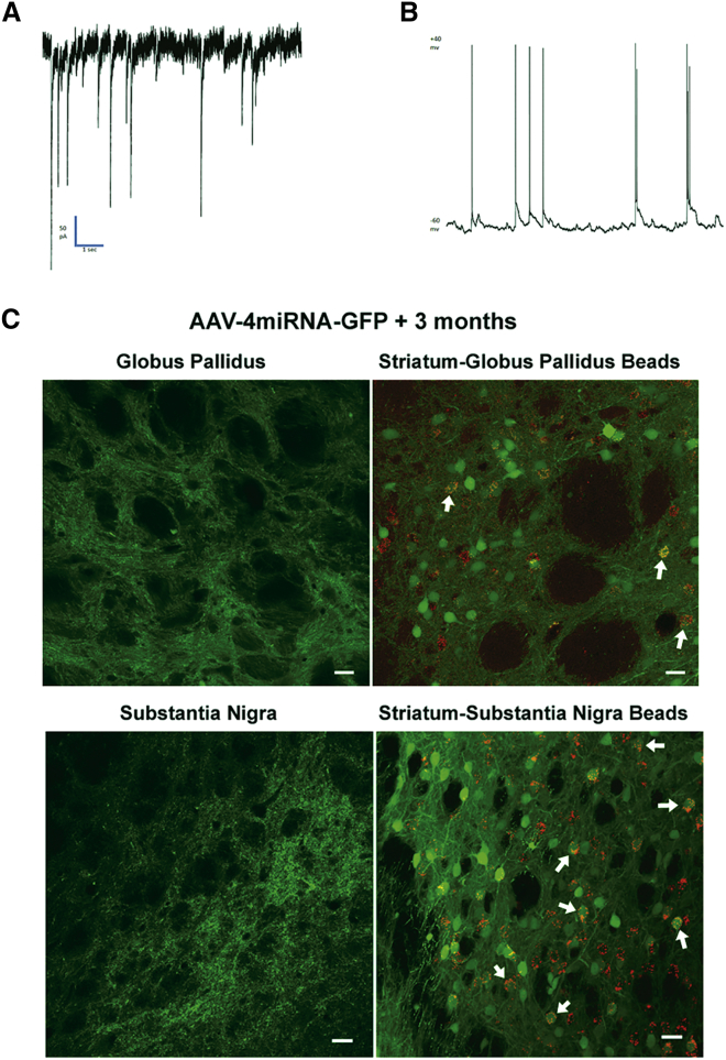 Figure 3