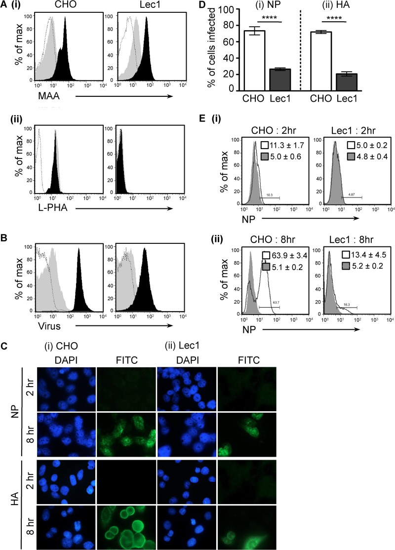 FIG 2