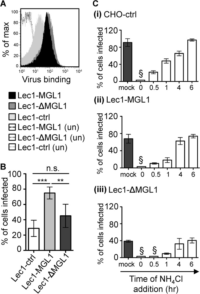 FIG 8