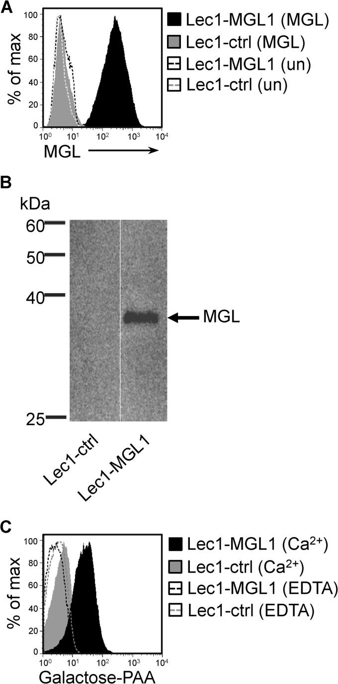 FIG 3