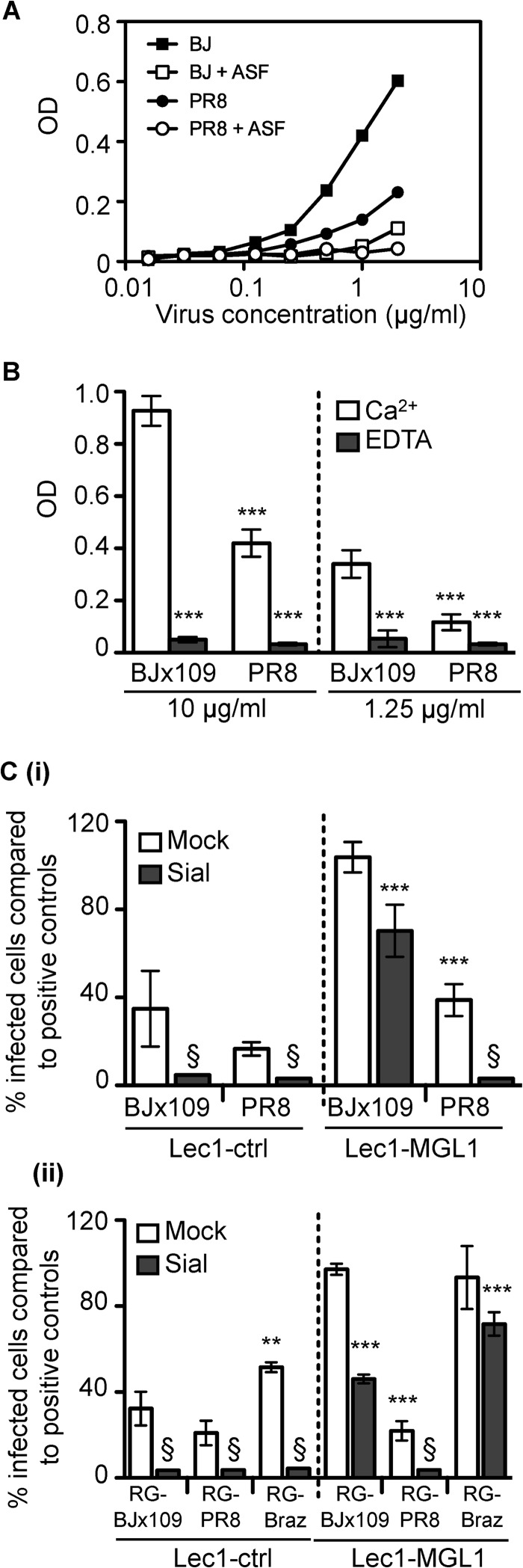 FIG 6