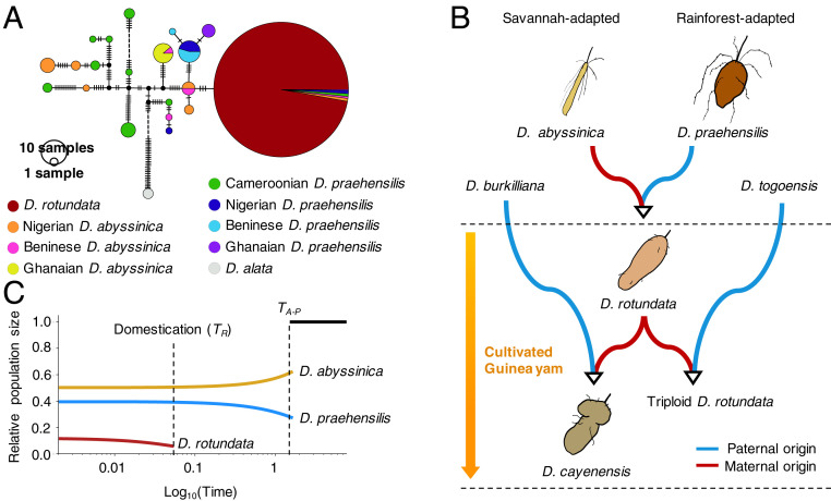 Fig. 3.