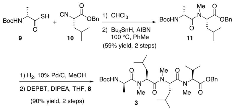 Scheme 3