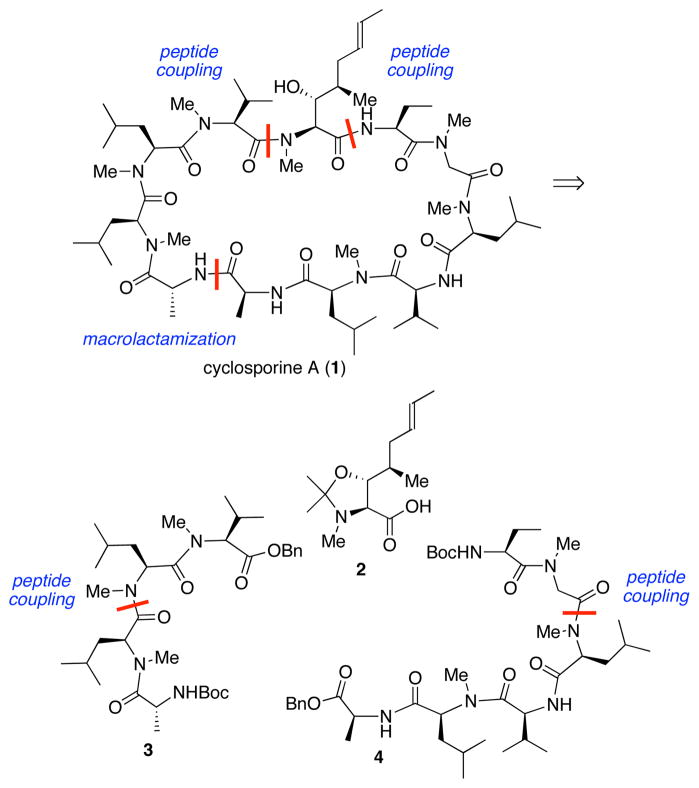 Scheme 1