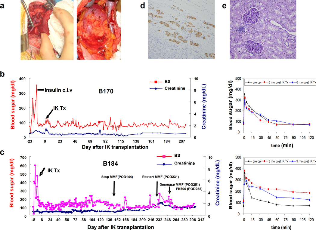 Fig 4