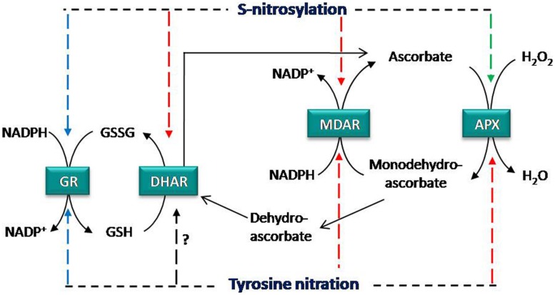 FIGURE 1