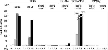 Figure 7