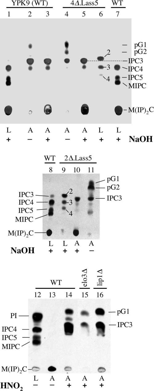 Figure 6