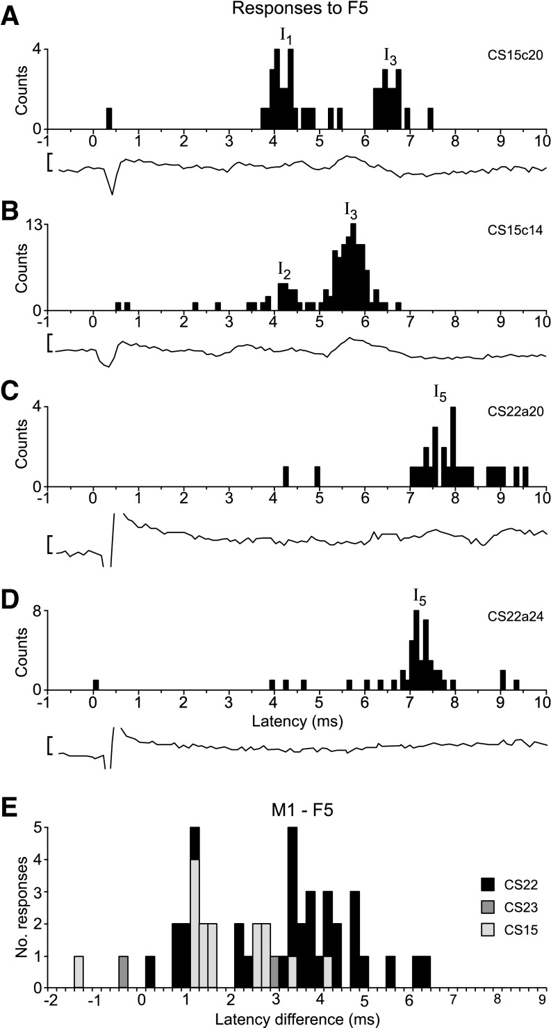 Fig. 8.