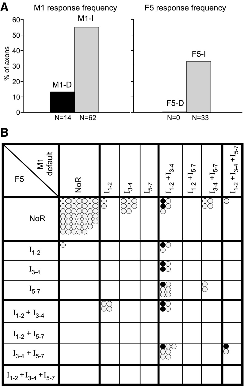 Fig. 10.