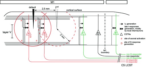 Fig. 12.