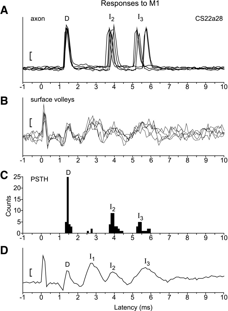 Fig. 3.