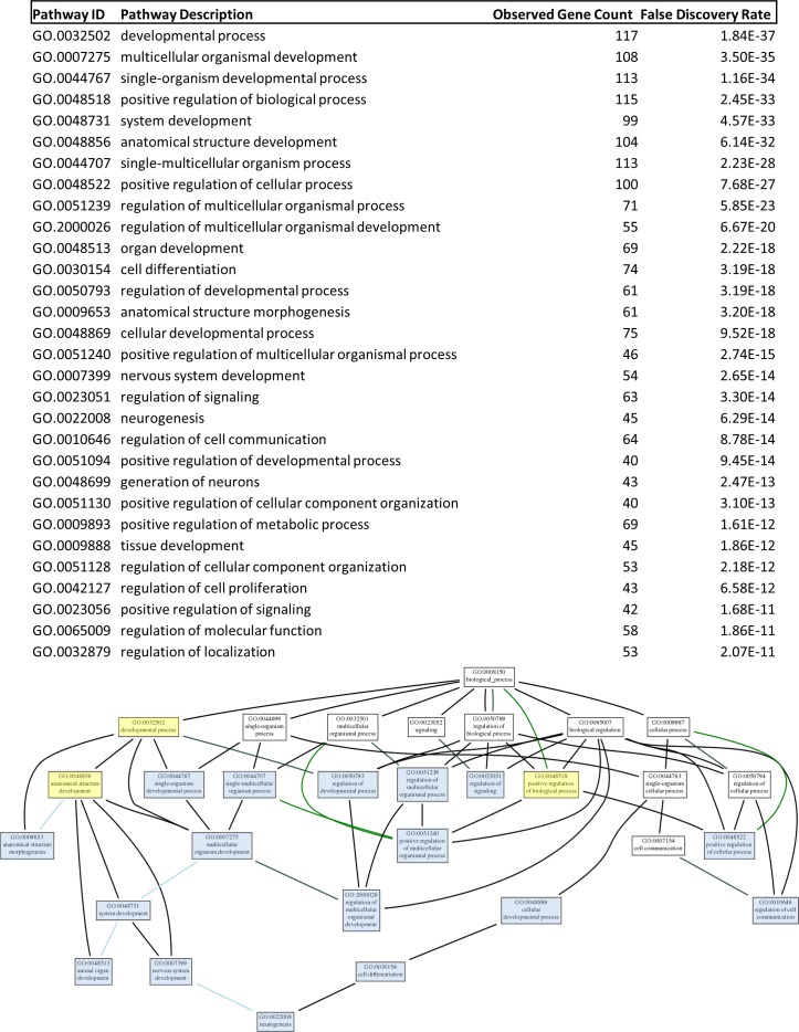 Figure 10a