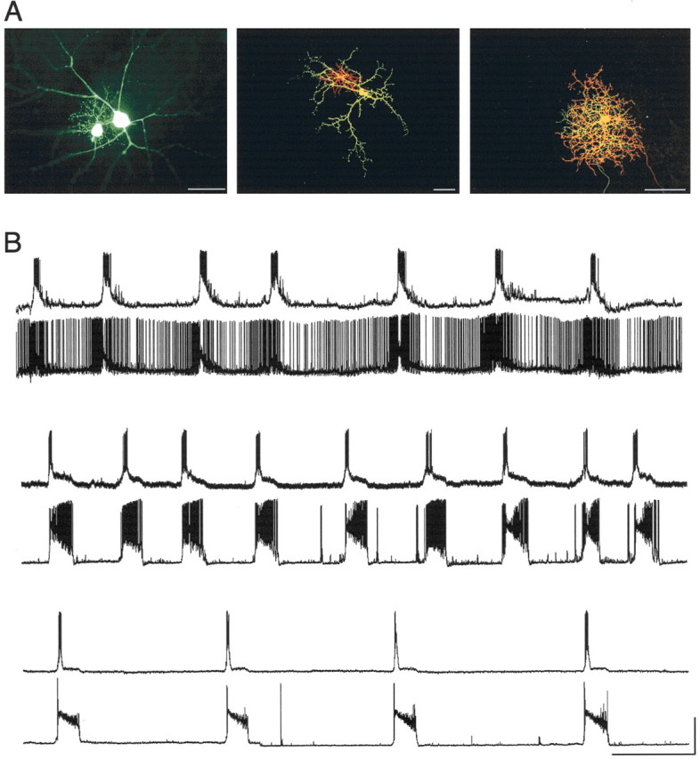 Figure 6.