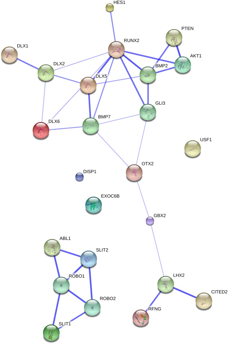 FIGURE 1