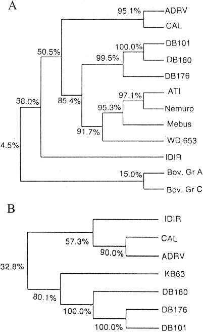 FIG. 2.