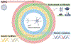Fig. 4 |