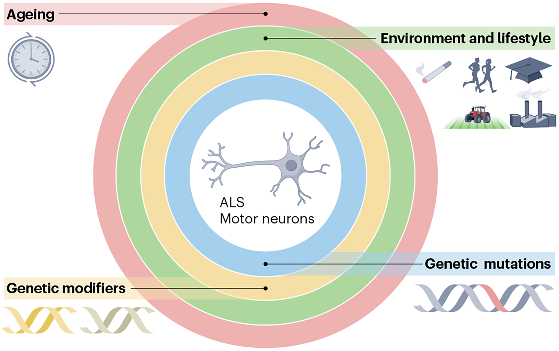 Fig. 4 |