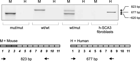 Fig. 5