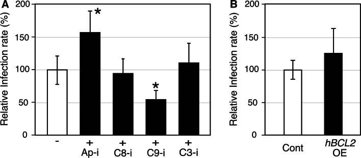 Fig. 2