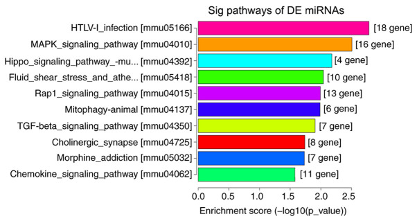 Figure 7