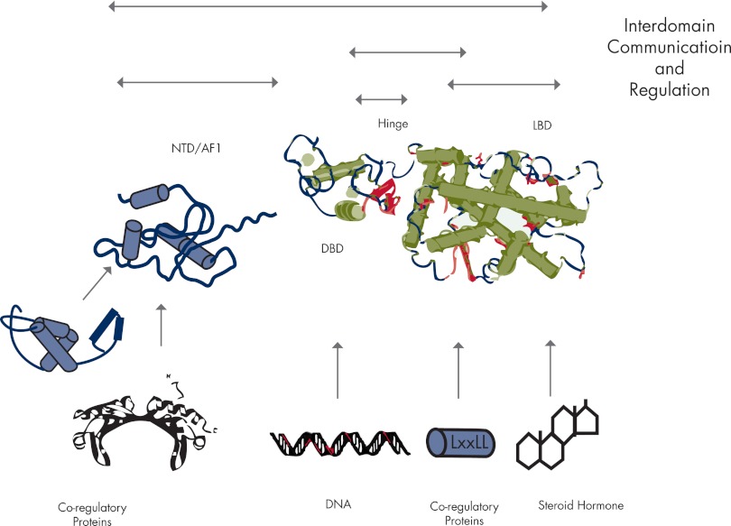 Figure 5.