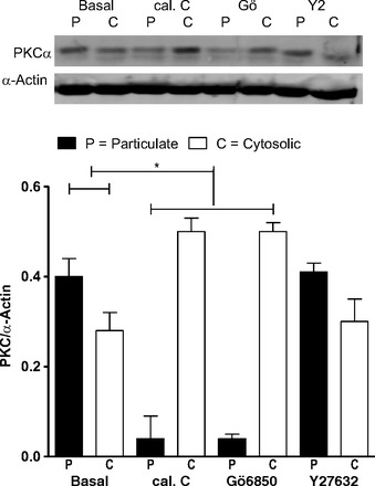 Fig. 8.