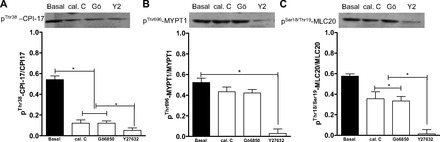 Fig. 9.