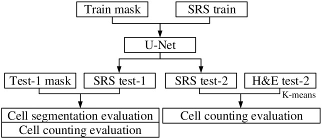 Fig 5