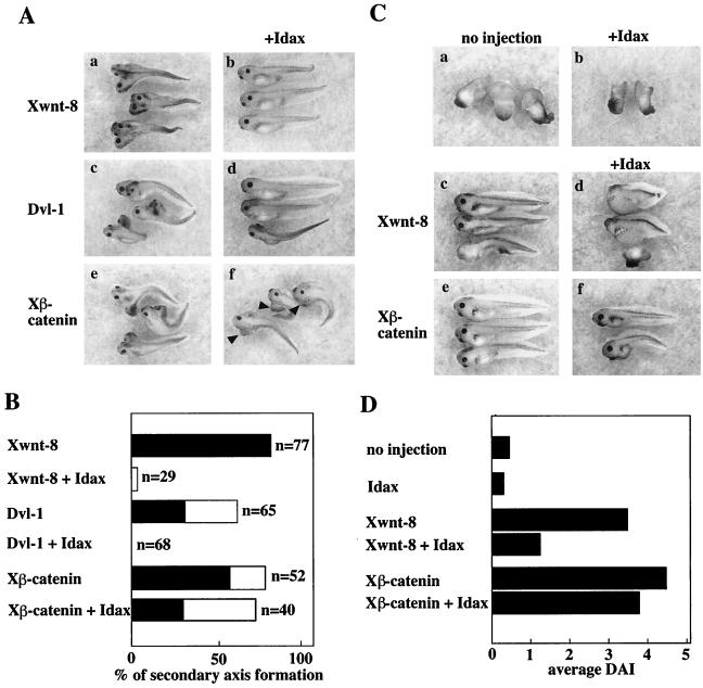 FIG. 7