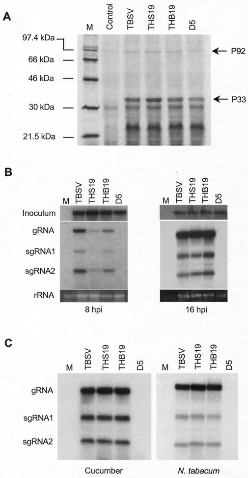 FIG. 6.