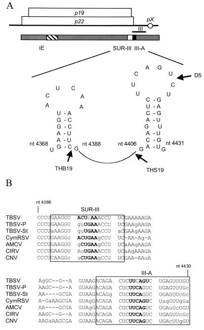 FIG. 5.